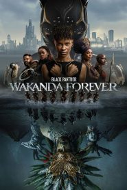 Black Panther : Wakanda Forever