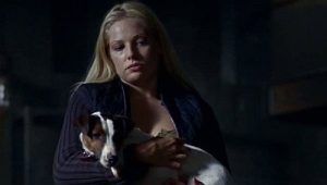 Le Royaume: 1×2